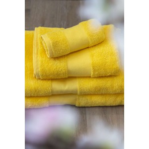 Olima t�r�lk�z�, Sunflower, 30X50